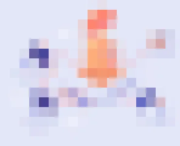 黑白体育