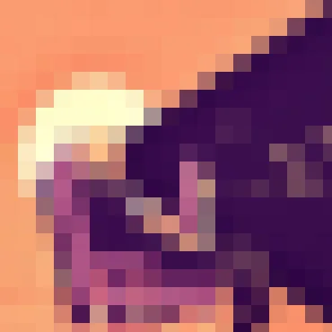 黑白体育